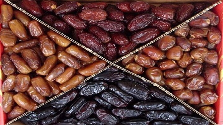 خرید و قیمت خرما مجول درجه یک + فروش عمده